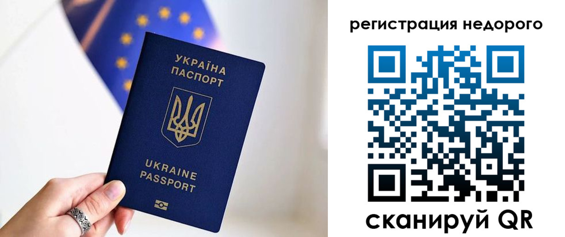 прописка 2025 в Высоковске